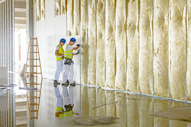 Best Cellulose Insulation in Cutler Bay, FL